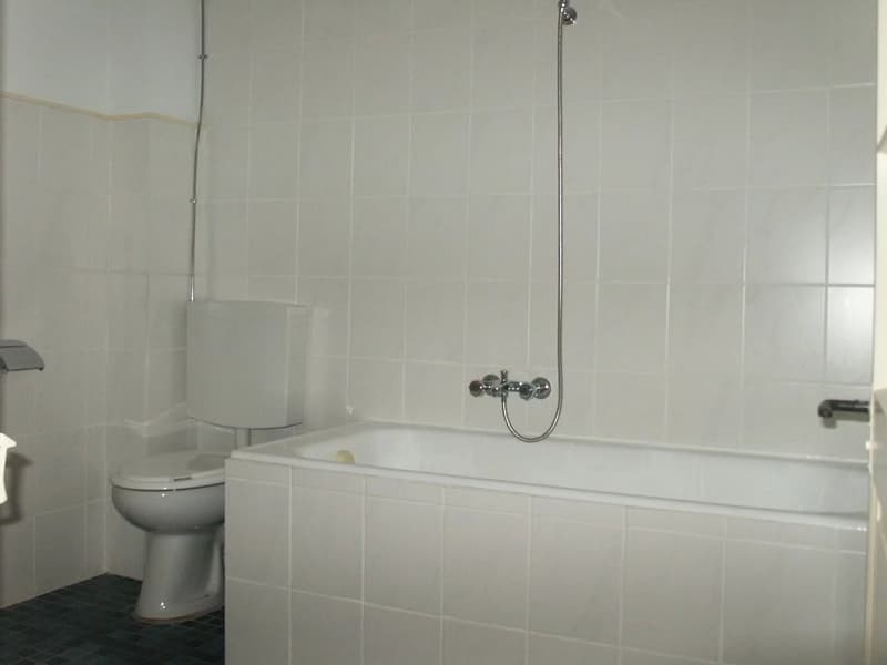 Investment opportunity ? Rental property ! (7)