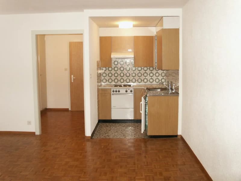 Investment opportunity ? Rental property ! (10)