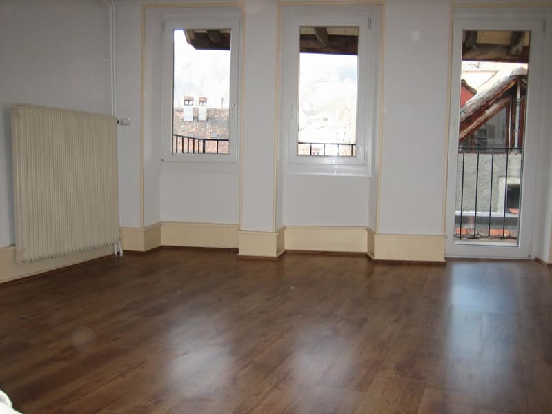 Investment opportunity ? Rental property ! (9)