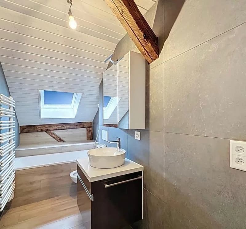 Investment opportunity ? Rental property ! (4)