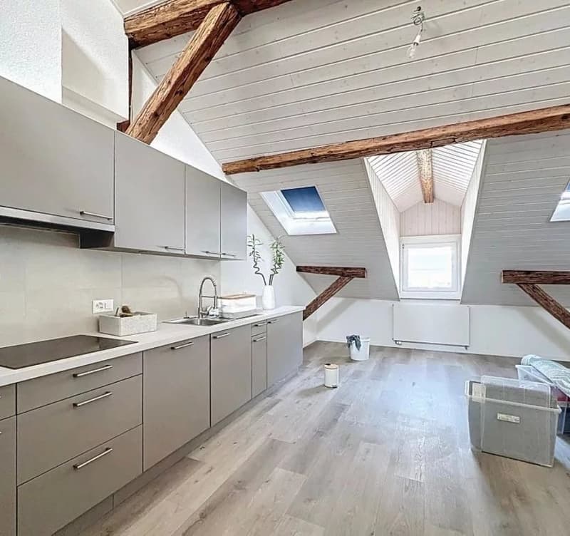 Investment opportunity ? Rental property ! (3)