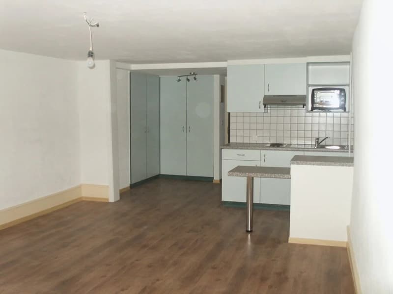 Investment opportunity ? Rental property ! (8)