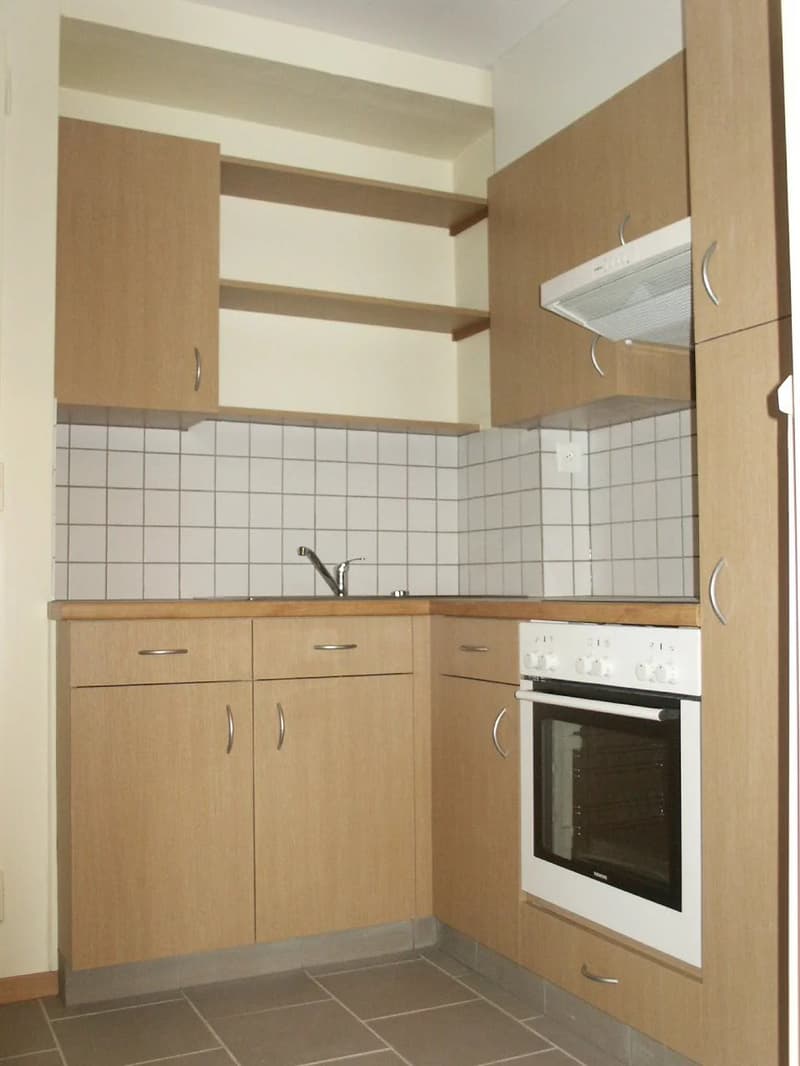 Investment opportunity ? Rental property ! (5)