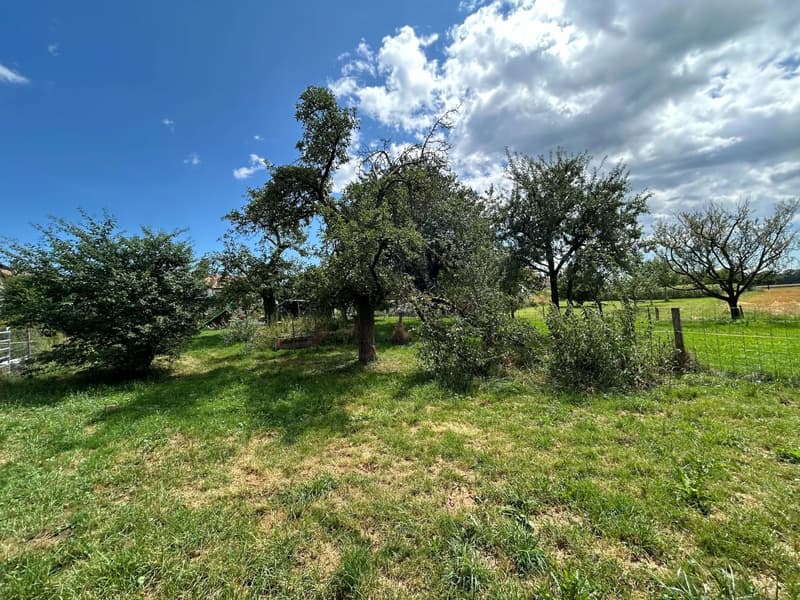 Casa incantevole situata a soli 5 minuti da Yverdon (8)