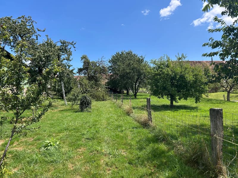 Casa incantevole situata a soli 5 minuti da Yverdon (3)