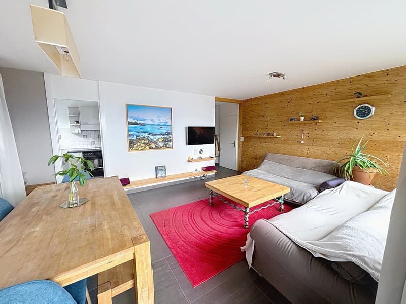 Appartement lumineux avec vue panoramique (6)