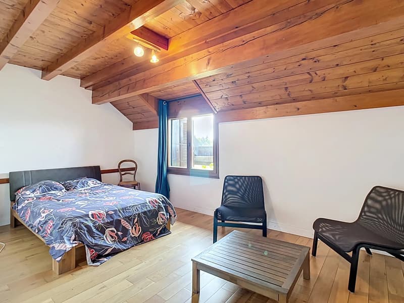 Casa ristrutturata con immenso giardino (6)