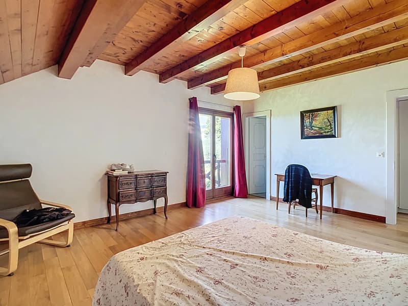 Casa ristrutturata con immenso giardino (4)