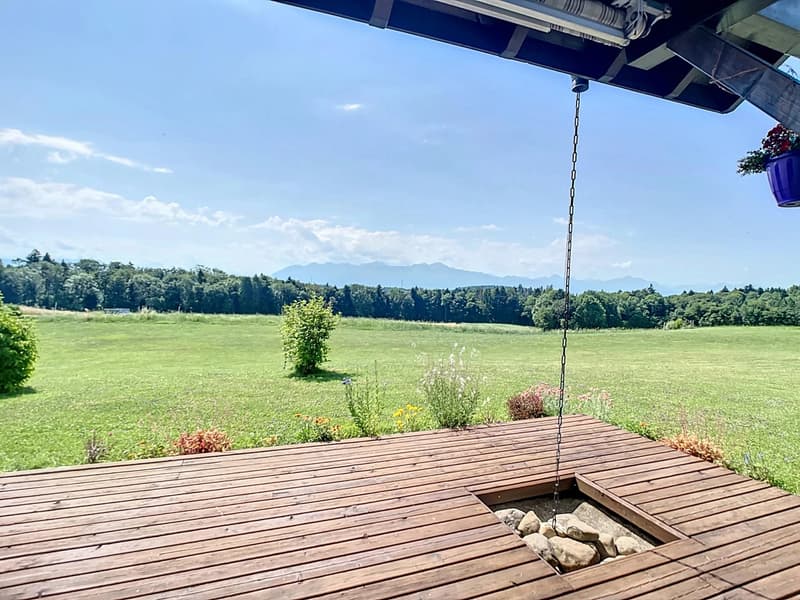 Casa ristrutturata con immenso giardino (3)