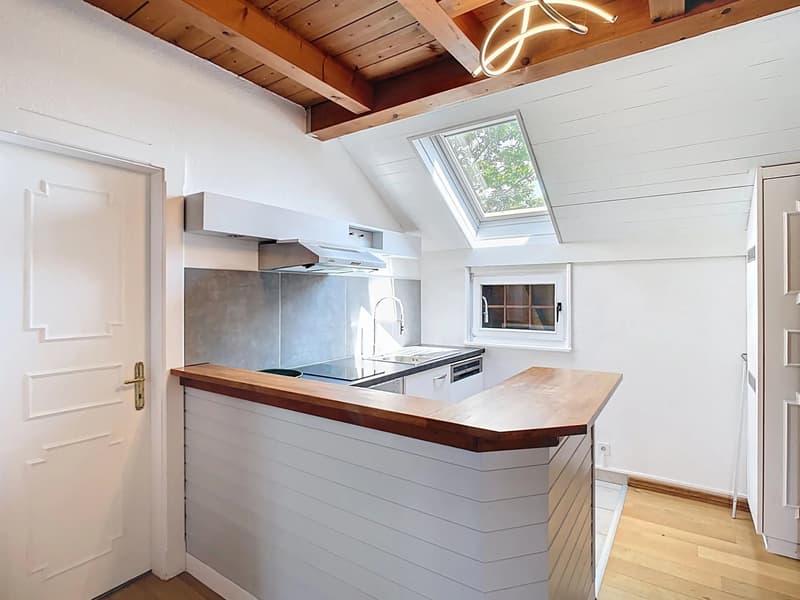Casa ristrutturata con immenso giardino (10)