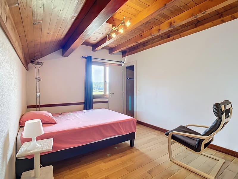 Casa ristrutturata con immenso giardino (7)