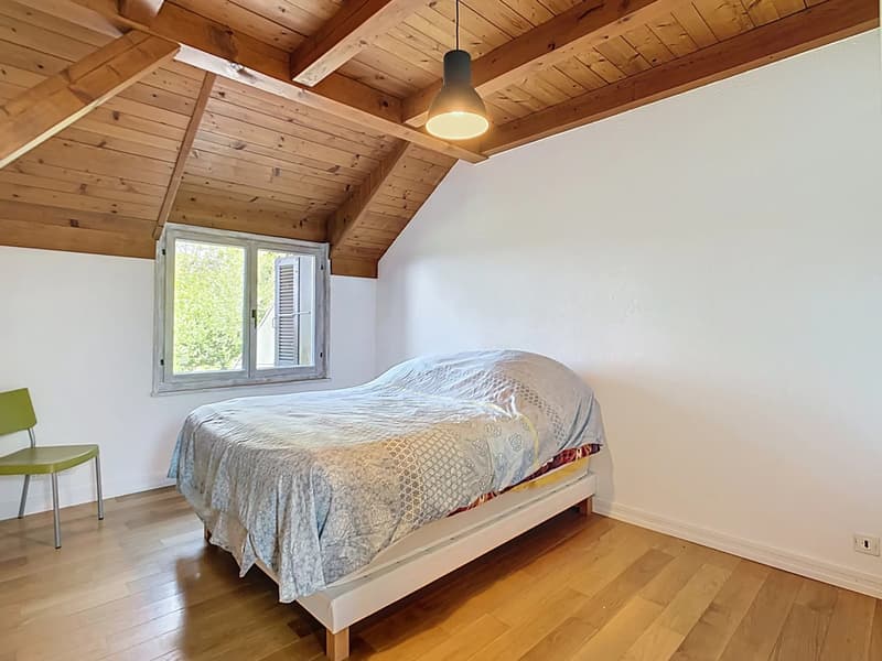 Casa ristrutturata con immenso giardino (9)