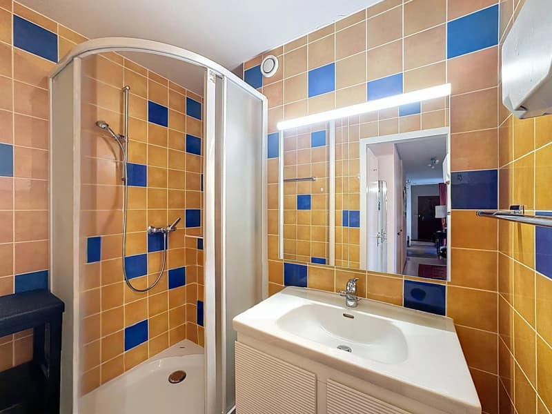 Sale - Morges Apartment (13)
