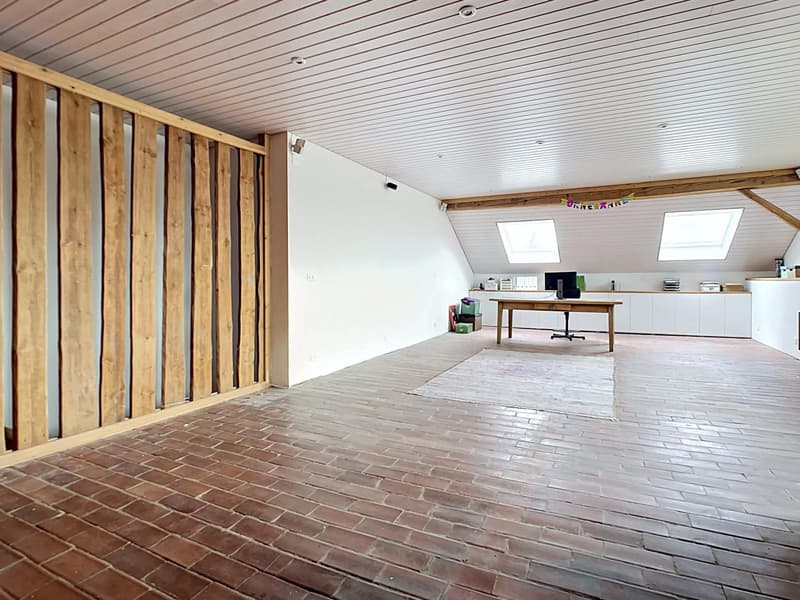 Character house with great potential (12)