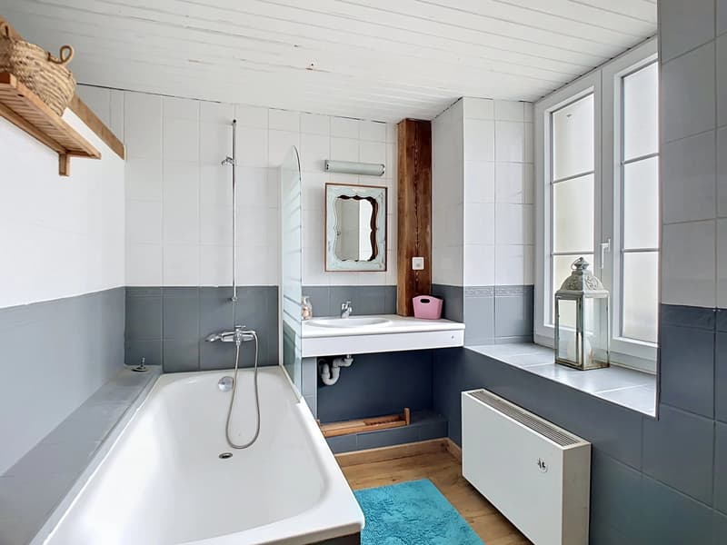 Character house with great potential (3)