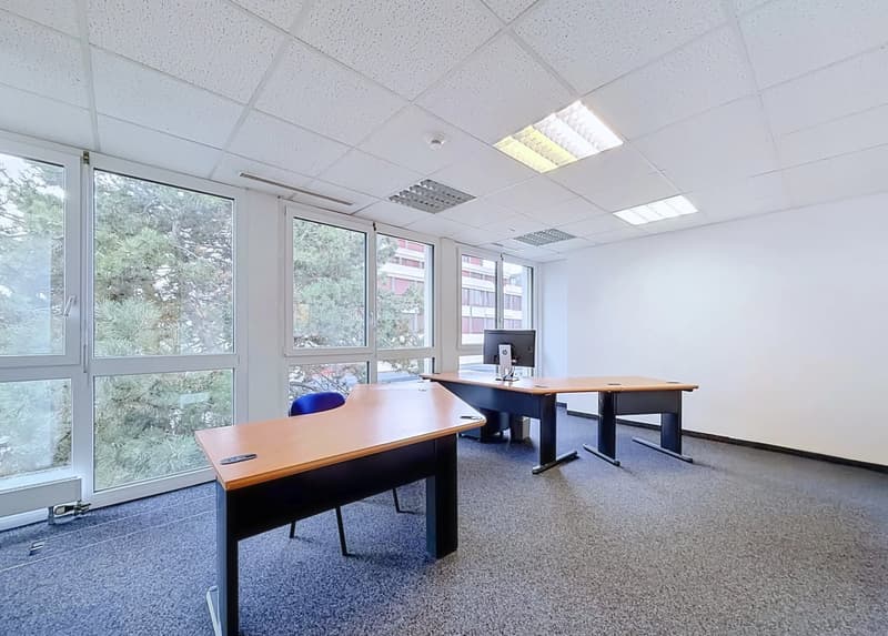 Vente - Bureau Crissier (4)
