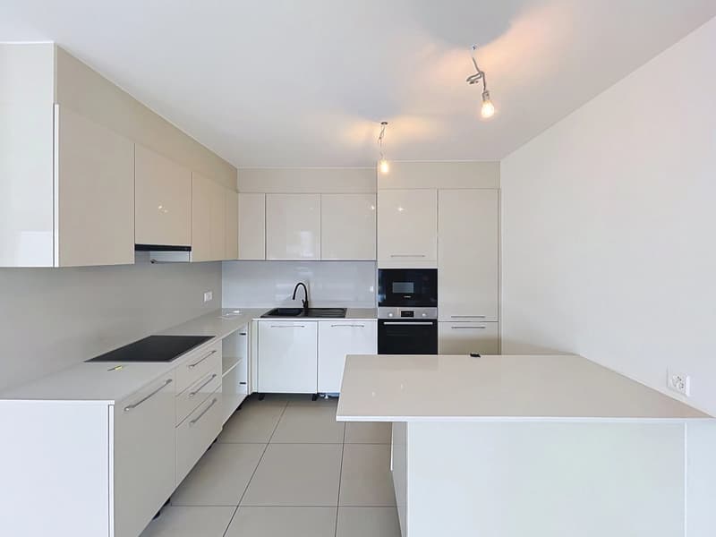 Spacieuse villa de 5.5 pièces avec terrasse et jardin (3)