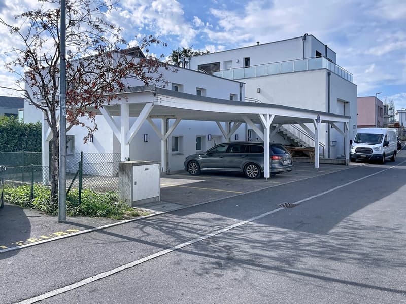 Spacieuse villa de 5.5 pièces avec terrasse et jardin (1)