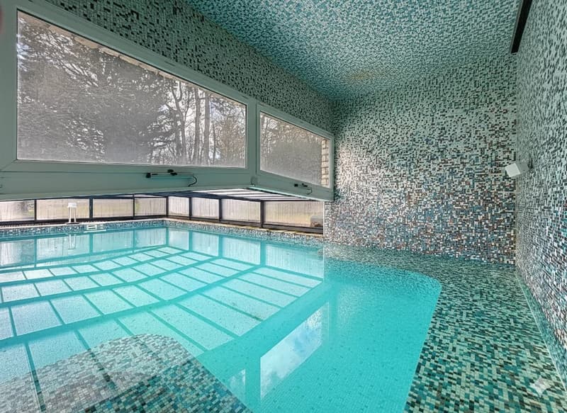 Contemporary 600 m² property with panoramic lake view (13)