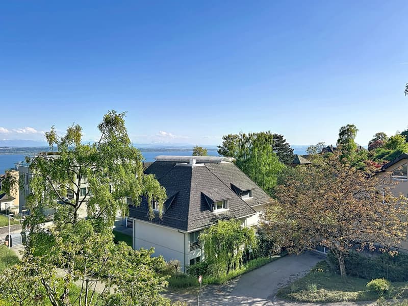 Villa indipendente nelle alture di Neuchâtel, con vista lago e Alpi (2)