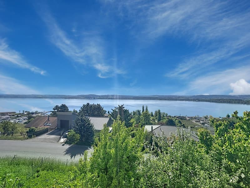 Villa with breathtaking views of Lake Morat (2)