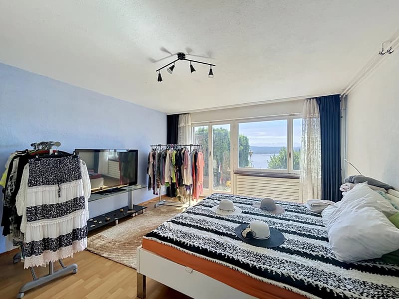 Villa with breathtaking views of Lake Morat (9)