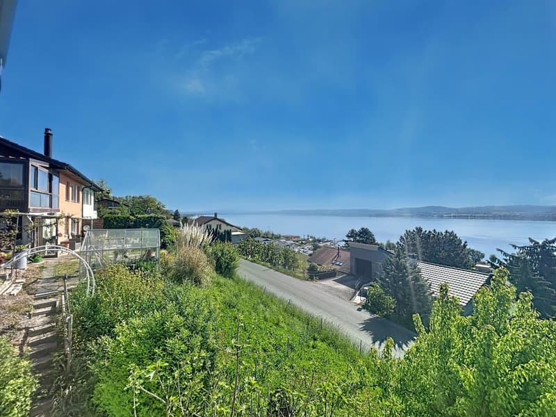 Villa with breathtaking views of Lake Morat (3)
