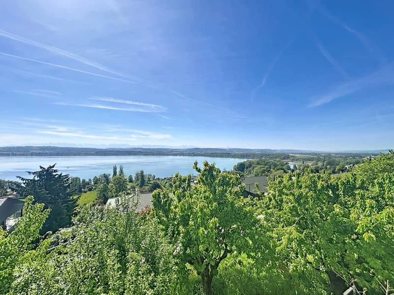 Villa with breathtaking views of Lake Morat (1)