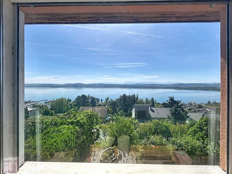 Villa with breathtaking views of Lake Morat (4)