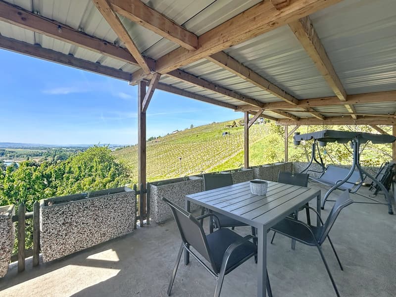 Villa with breathtaking views of Lake Morat (6)