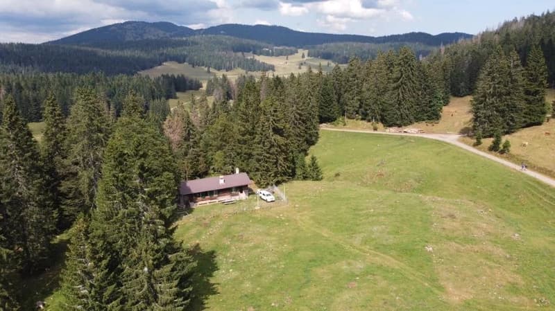 Alpine Chalet in DDP (11)