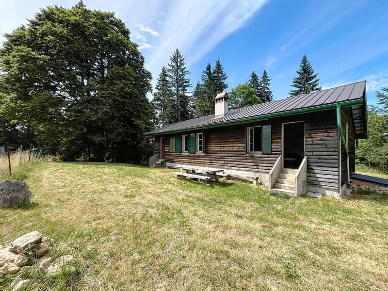 Alpine Chalet in DDP (3)