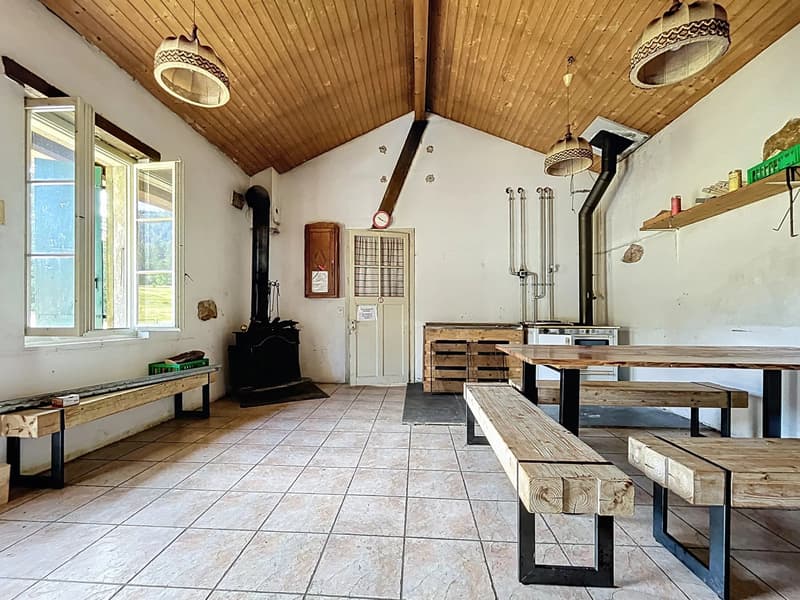 Alpine Chalet in DDP (5)