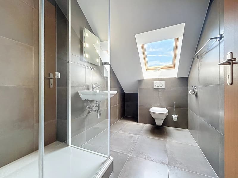 Amplio duplex nel cuore di Saint-Cergue (7)