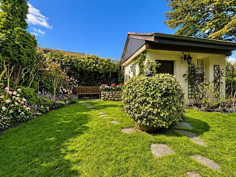 Dream home (6)