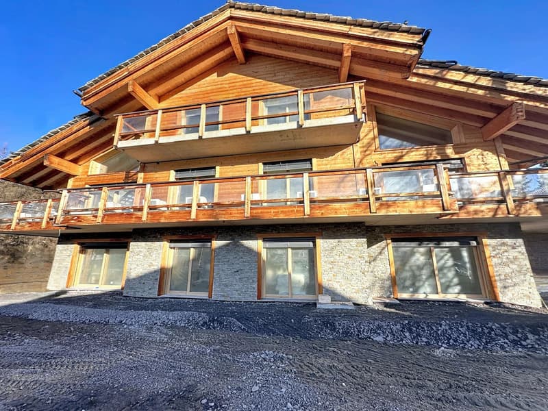 Duplex of exceptional Alpine charm (13)