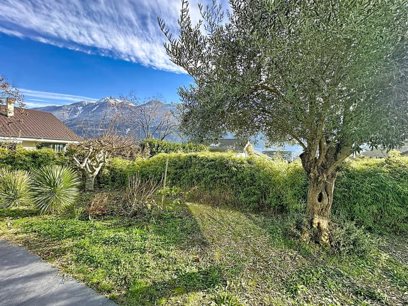 Terrazza panoramica e dolcezza di vivere (3)