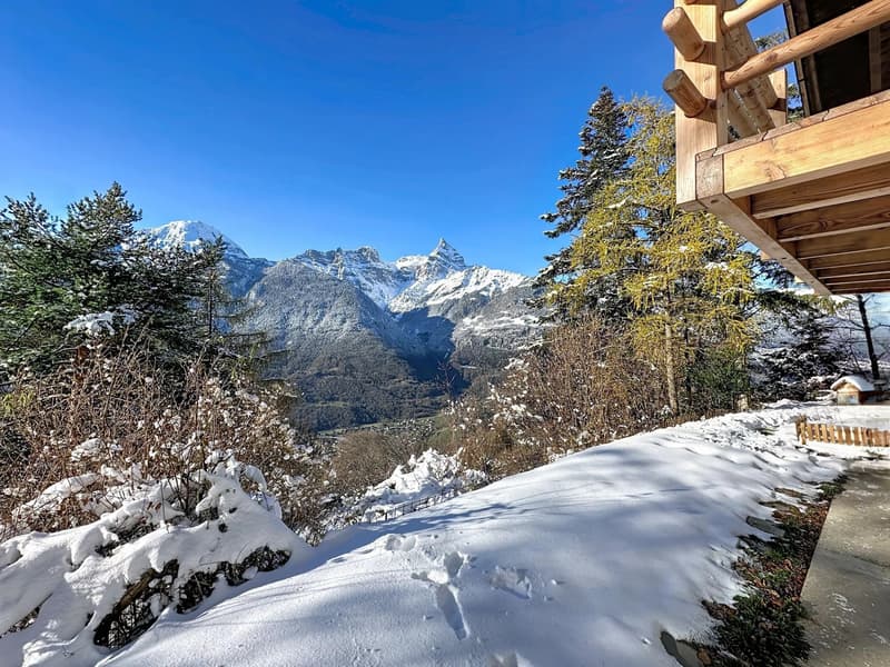 Panoramic view of Mont-Blanc and Cime de l'Est (7)