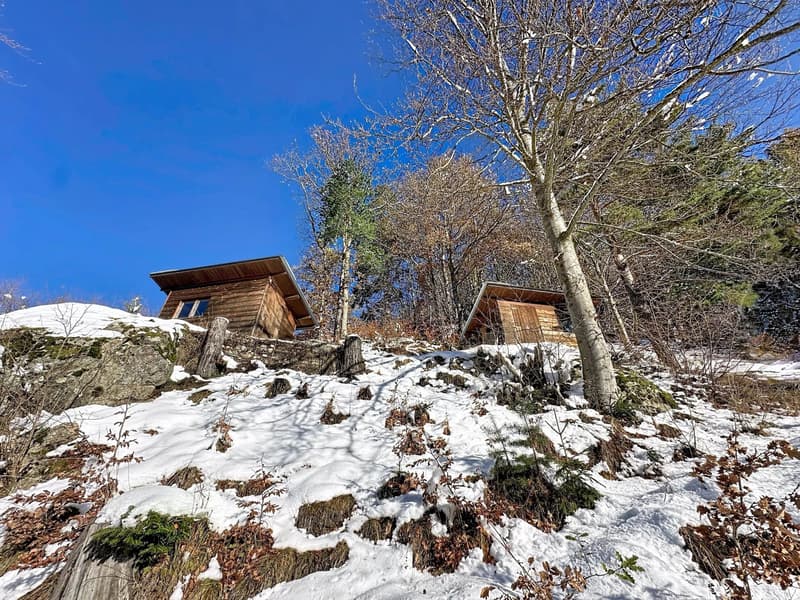 Panoramic view of Mont-Blanc and Cime de l'Est (5)