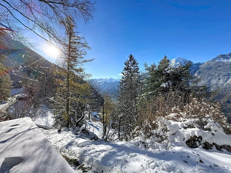 Panoramic view of Mont-Blanc and Cime de l'Est (6)