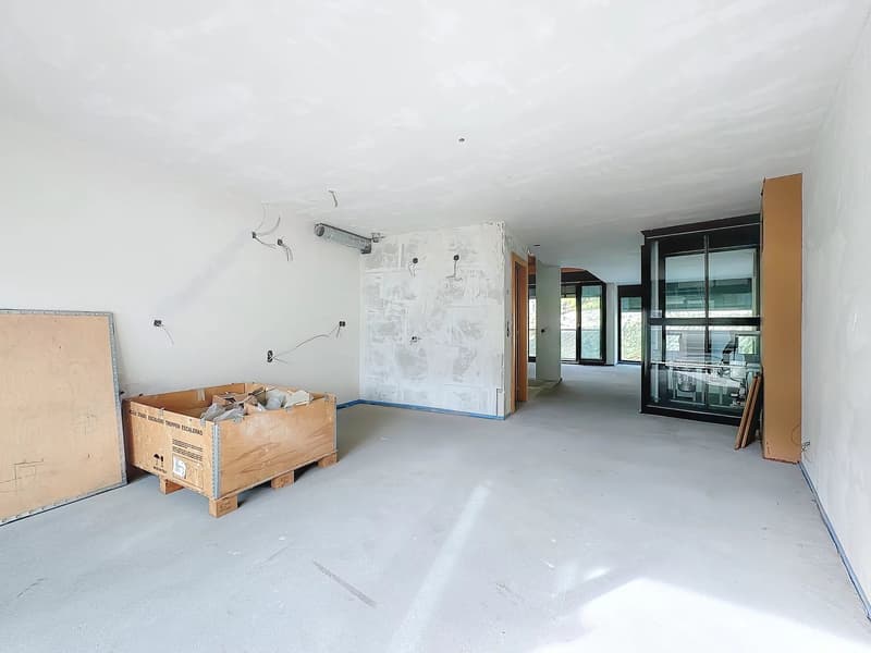 Luxury Triplex in Attic - Minergie Label (5)