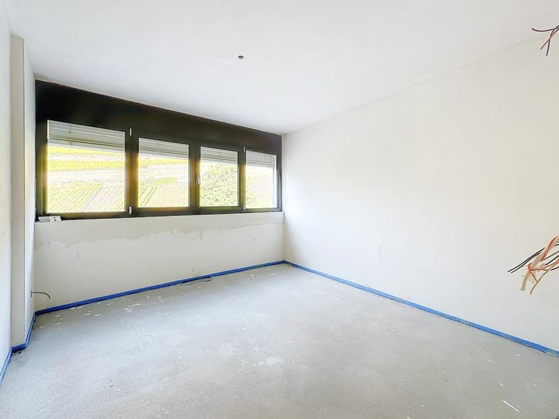Luxury Triplex in Attic - Minergie Label (8)