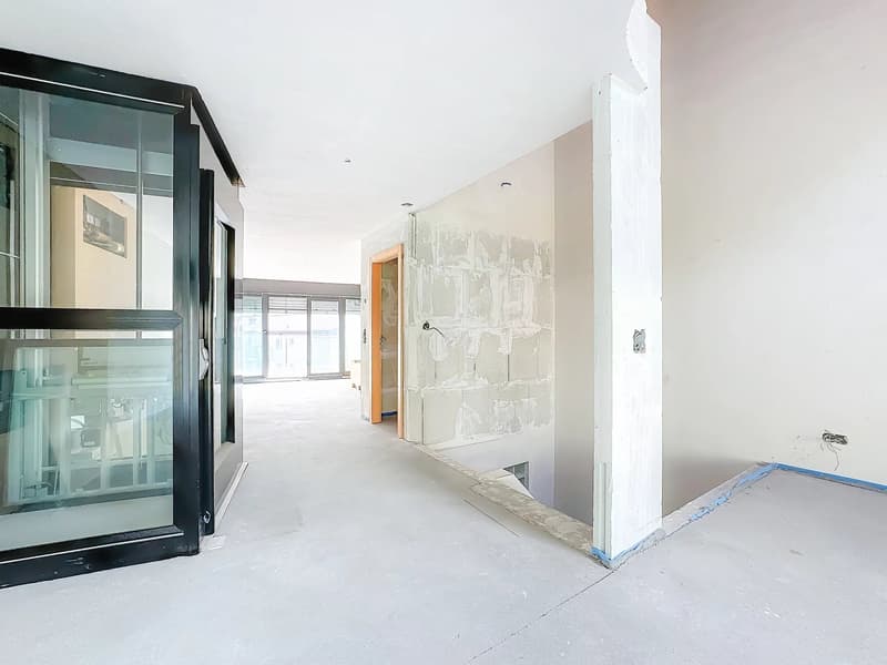 Luxury Triplex in Attic - Minergie Label (4)
