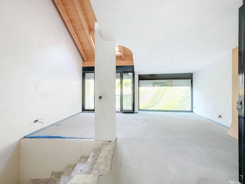 Luxury Triplex in Attic - Minergie Label (3)