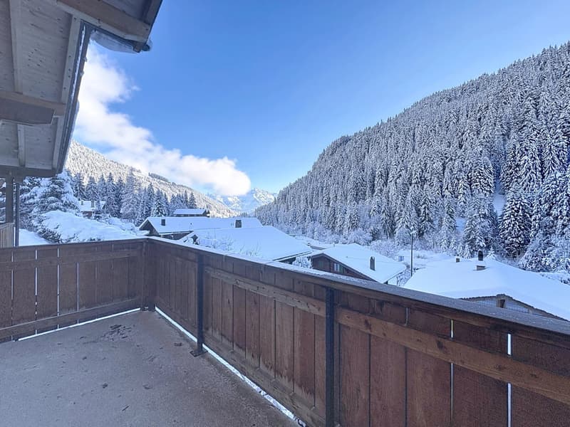 Exclusivity - Renovated Chalet in the Heart of Portes du Soleil (5)