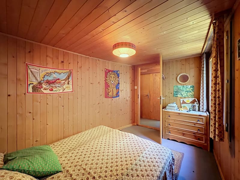 Charmant chalet à rénover (8)