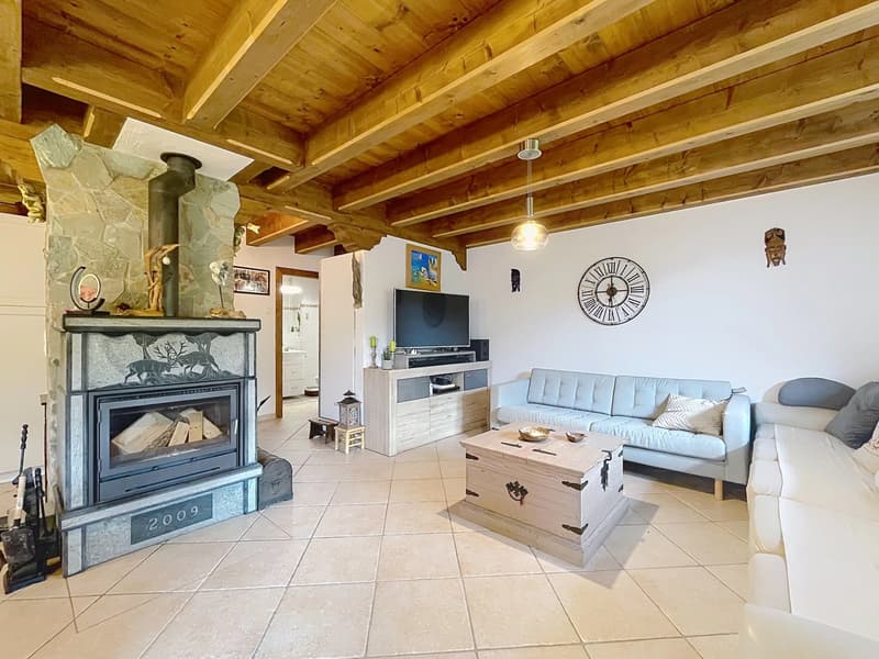 Villa familiale de 4.5 pièces (3)