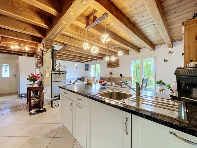 Villa familiale de 4.5 pièces (2)