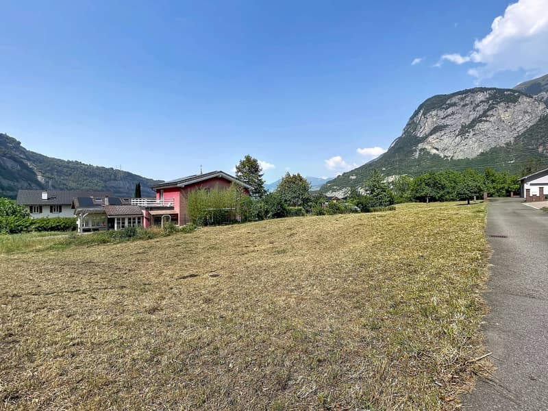 Terrain libre de mandat (4)