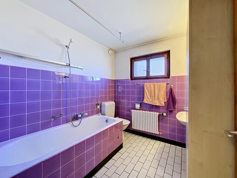 Grande maison avec 2 appartements et vaste garage (6)